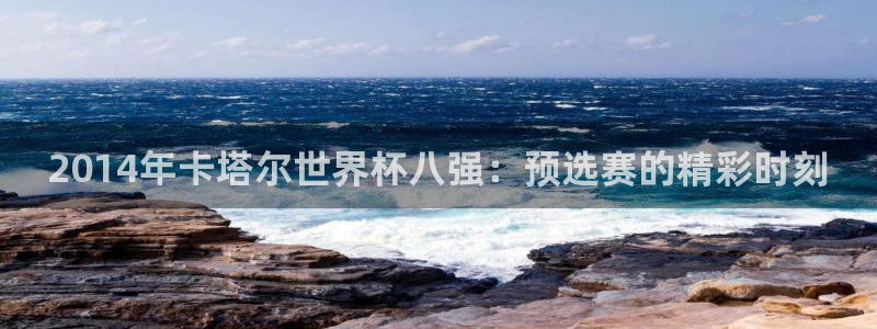 2026男足世界杯赛程:2014年卡塔尔世界杯八强:预选赛的精彩时刻
