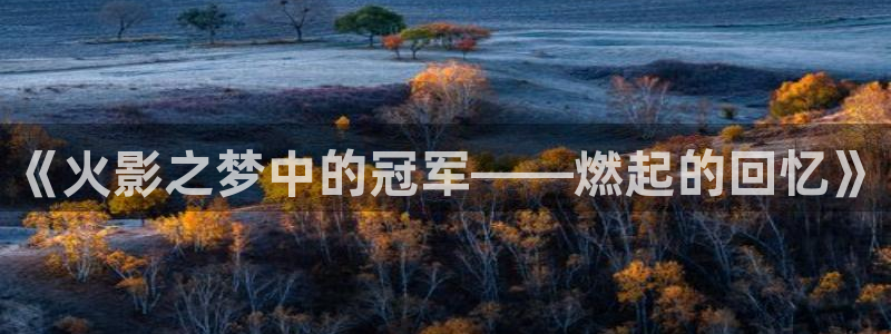 世界杯预选赛亚洲区赛程:《火影之梦中的冠军——燃起的回忆》