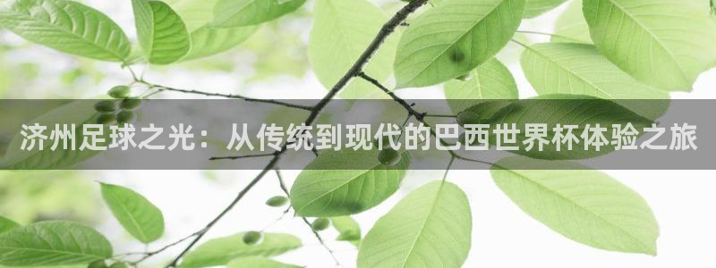2026世界杯中国队:济州足球之光:从传统到现代的巴西世界杯体验之旅