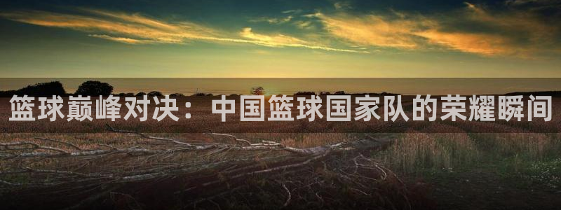 2006年世界杯:篮球巅峰对决:中国篮球国家队的荣耀瞬间