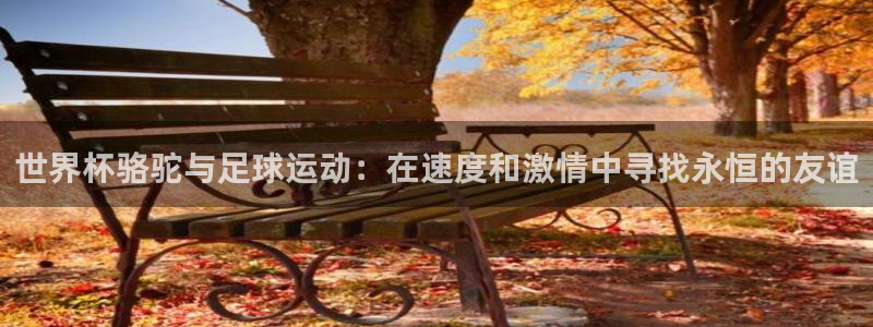世预赛免费直播入口:世界杯骆驼与足球运动:在速度和激情中寻找永恒的友谊