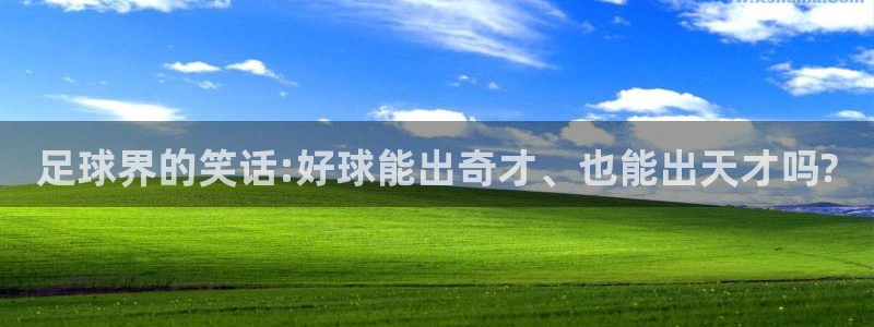 世界杯预选赛排名:足球界的笑话:好球能出奇才、也能出天才吗?