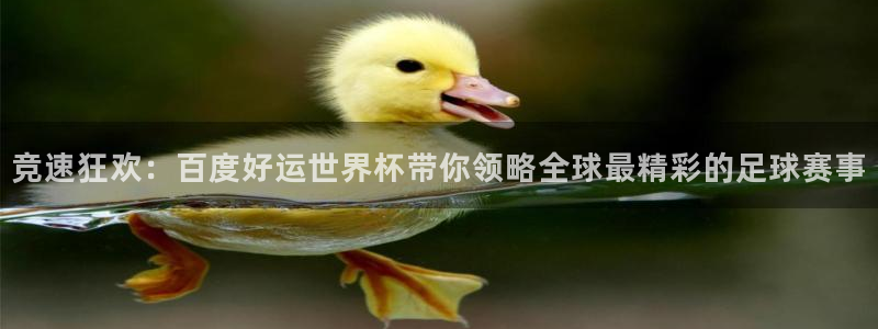 足球世预赛:竞速狂欢:百度好运世界杯带你领略全球最精彩的足球赛事