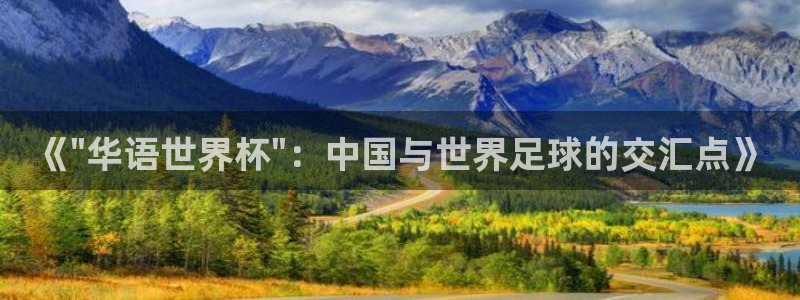 世界杯欧洲区赛程:《\